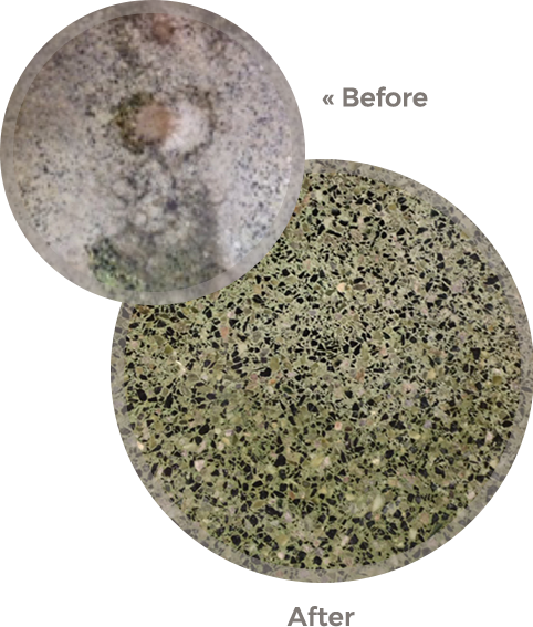 Midwest Floor Restore can assist with marble maintenance and Indiana Floor Restoration image shows floor before and after Terra-Guard polish
